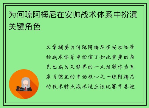 为何琼阿梅尼在安帅战术体系中扮演关键角色