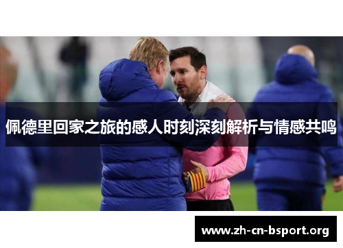 佩德里回家之旅的感人时刻深刻解析与情感共鸣