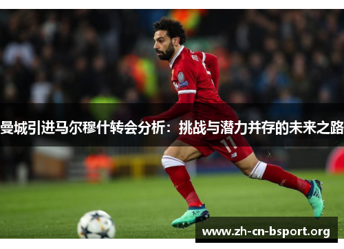 曼城引进马尔穆什转会分析：挑战与潜力并存的未来之路