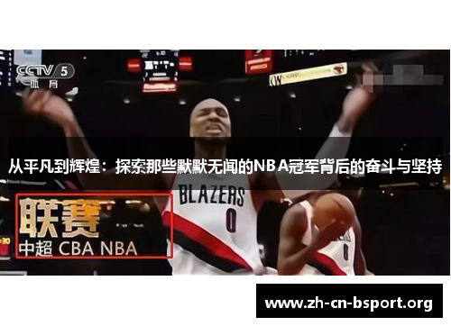 从平凡到辉煌：探索那些默默无闻的NBA冠军背后的奋斗与坚持