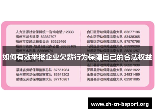 如何有效举报企业欠薪行为保障自己的合法权益