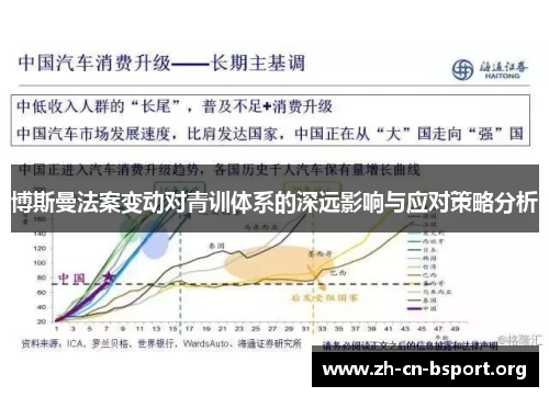 博斯曼法案变动对青训体系的深远影响与应对策略分析